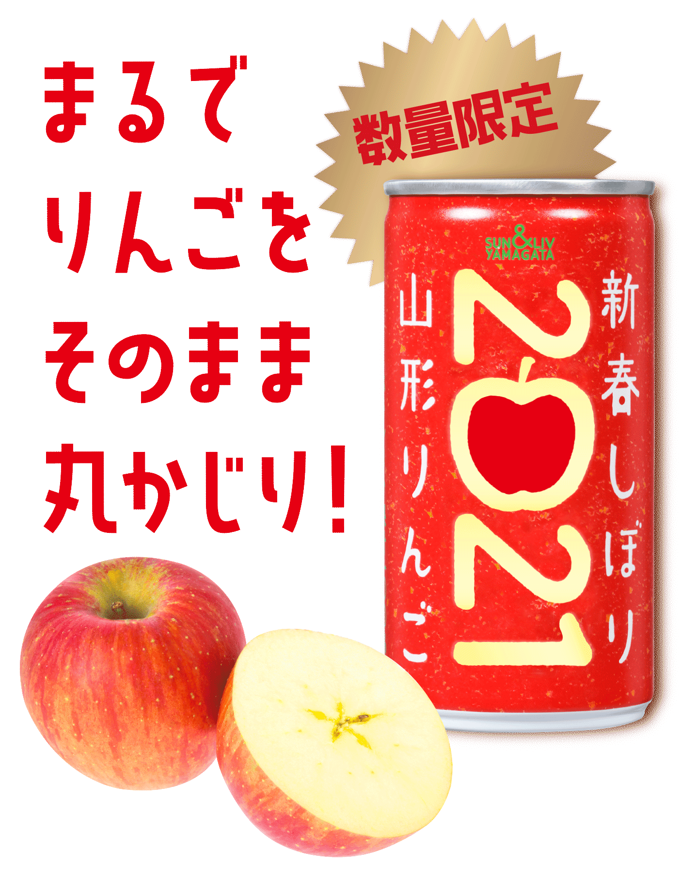 サン リブ 山形りんご新春しぼり ふじ果汁100 ジュース