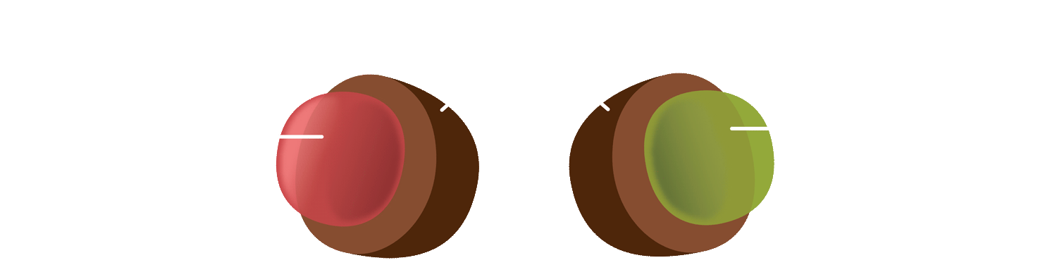 山形代表グミチョコ