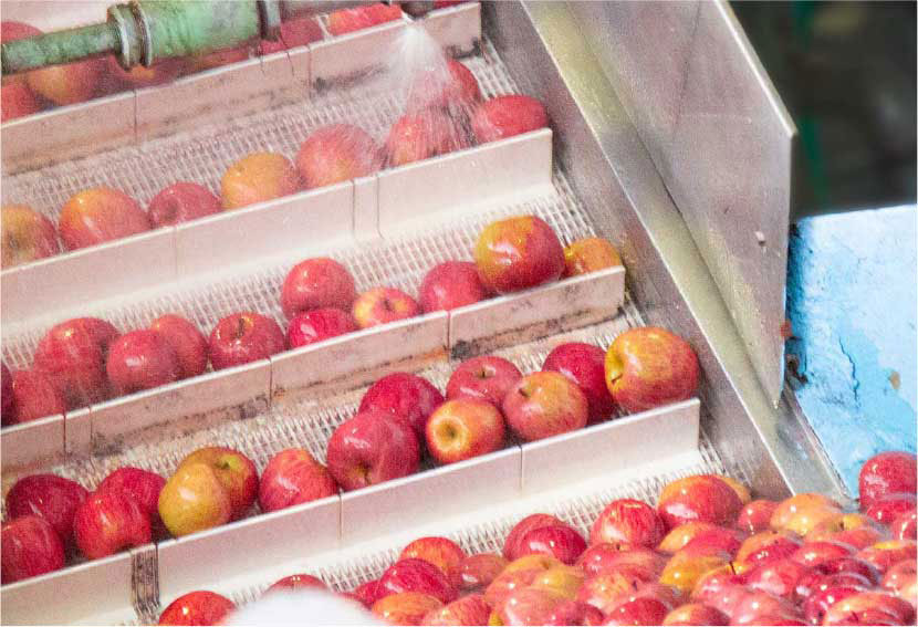 ラ・フランスの果実